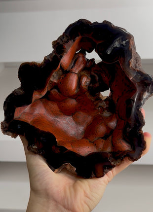 Red Fox Agate Geode from Argentina