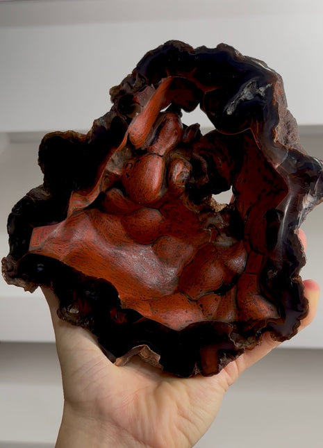 Red Fox Agate Geode from Argentina