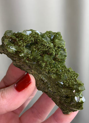 Forest Epidote with Quartz  🌲