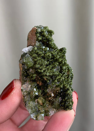 New ! Forest Epidote with Quartz  🌲