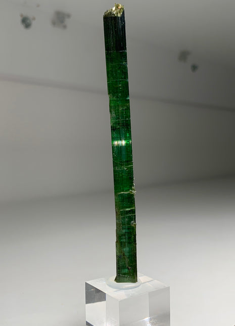 135 mm Green Tourmaline from Brazil Collection # 046