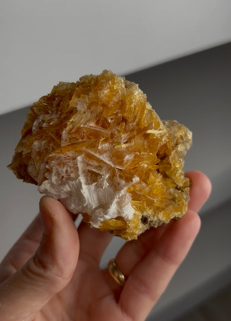 Golden Honey Selenite Flower from Peru
