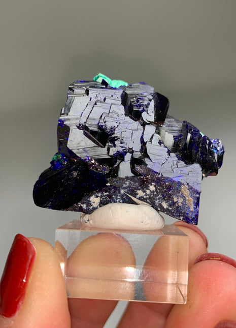 Wow ! Blue Azurite from Milpillas, Mexico # PM0162