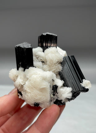 Black Tourmaline with Albite Flowers Collection # 505