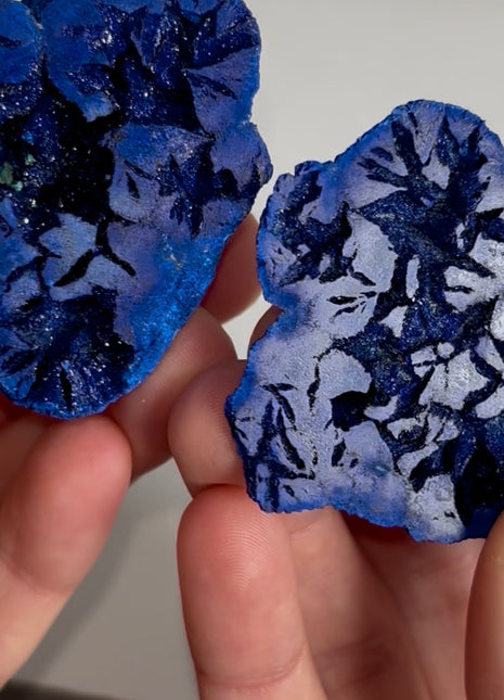 Blue Azurite Geode Pair