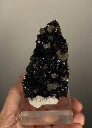 Extra Dark Forest Green Epidote with Quartz