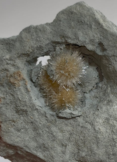 Bursting Sun Aragonite in Cluster - From Pantoja, Spain