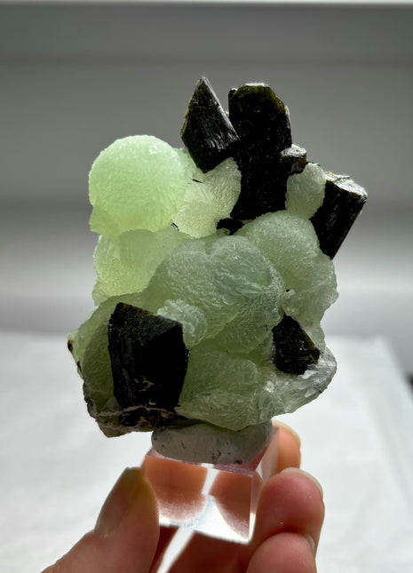 Green Prehnite with Epidote - From Mali