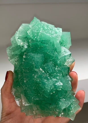 Wow ! Gemmy Green Halite - From Lubin mine, Poland DWS