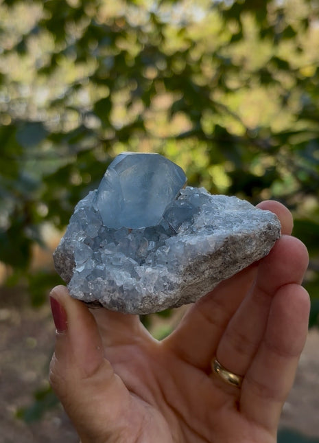 Sky Blue Celestite