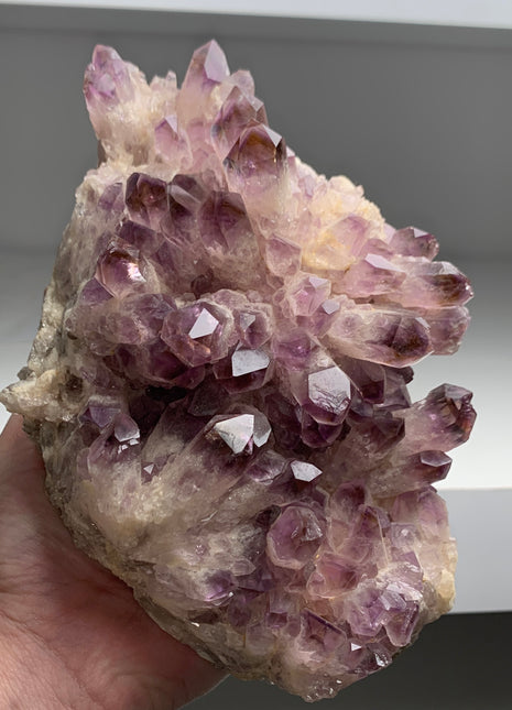 Stunning ! Amethyst with Yellow and Purple Phantoms - From Zambia