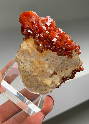 Red Vanadinite on Matrix - Collection # 020