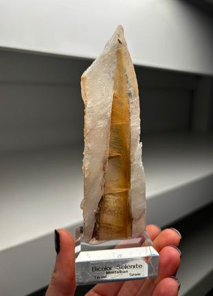 Icy Golden Selenite from Spain