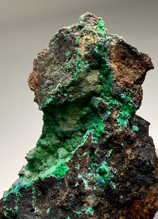 Vibrant Green Conichalcite ! From Spain