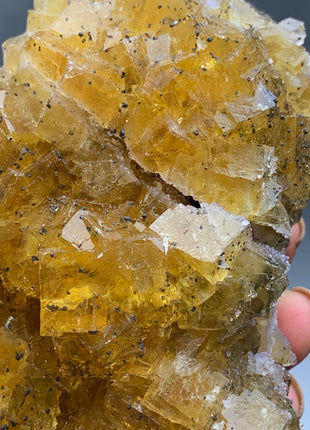 Cubic Yellow Fluorite with Pyrite - From Spain