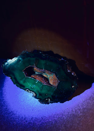 Red Fox Agate Geode from Argentina