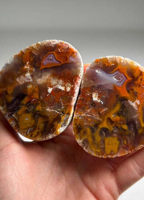 Dreamy ! Black Sea Agate Pair