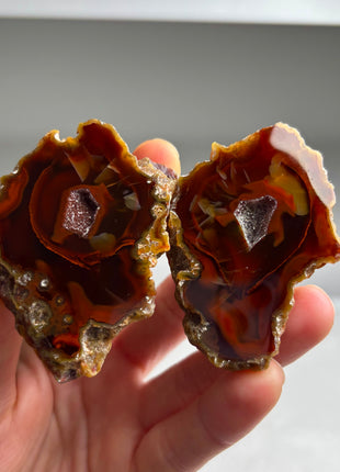 Rare ! Black Sea Agate Pair