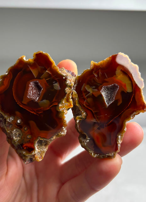 Rare ! Black Sea Agate Pair