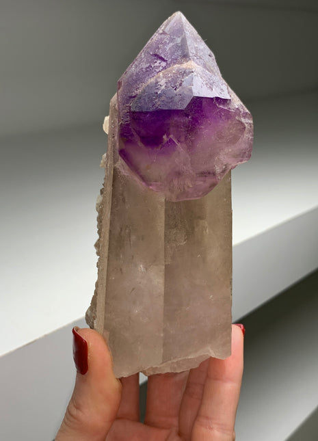 Stunning ! Huge Amethyst Scepter from Madagascar *