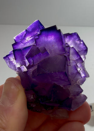 Incredible Color ! Fluorite from Turkey PM0891