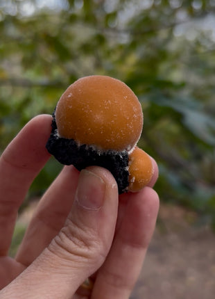 Bright Orange Thomsonite with Mesolite