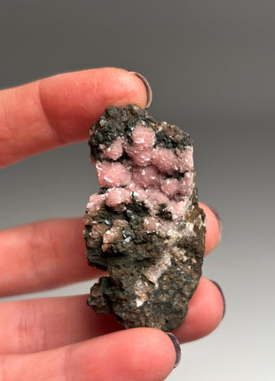 Pink Rhodocrosite - From Potosi mine