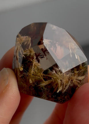 Rutile Included Smoky Quartz Collection PM1460