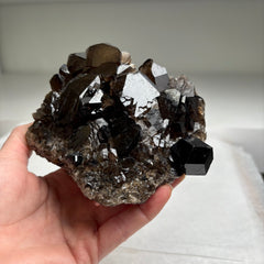 Collection image for: Black Tourmaline with Quartz