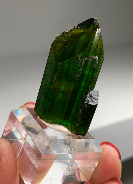 Green Tourmaline with Amazing Termination - Collection # 049