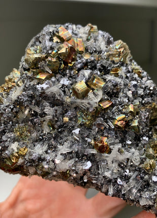 Very High Grade Pyrite, Silvery Galena with Quartz