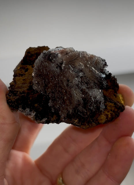 Black Barite Roses