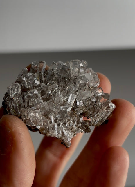 New arrival ! Optical Gemmy Calcite