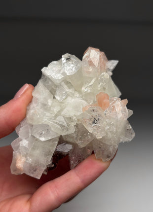 Top ! Gemmy Apophyllite with Pink Stilbite Flower