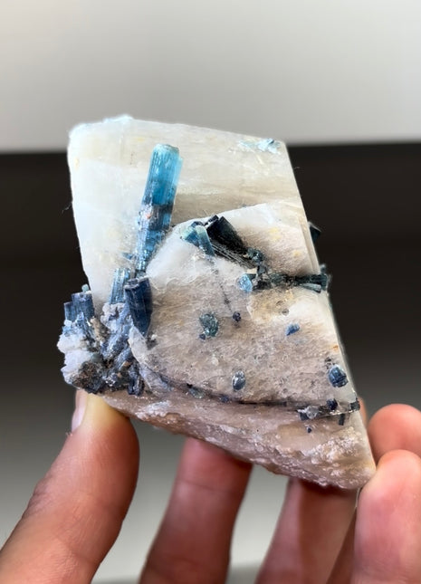 Blue Indicolite Tourmaline on Feldspar