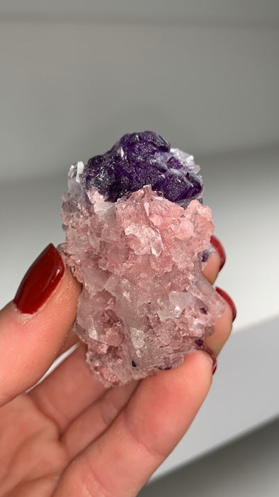 Pink Rhodocrosite with Purple Fluorite, Quartz 🌸