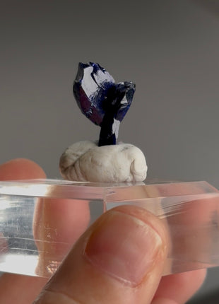 Blue Azurite from Milpillas, Mexico