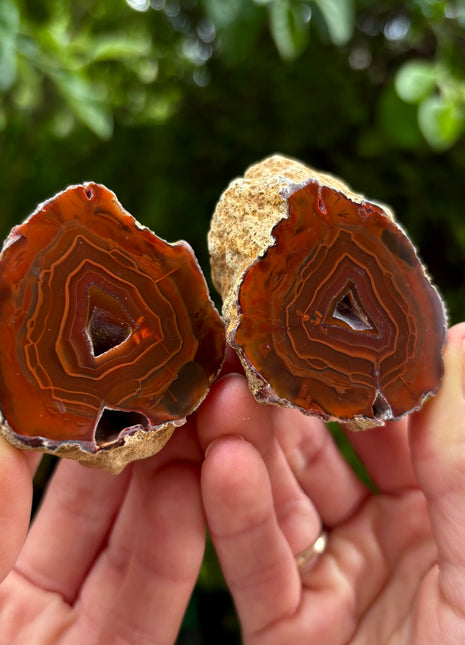 High Grade Black Sea Agate Pair