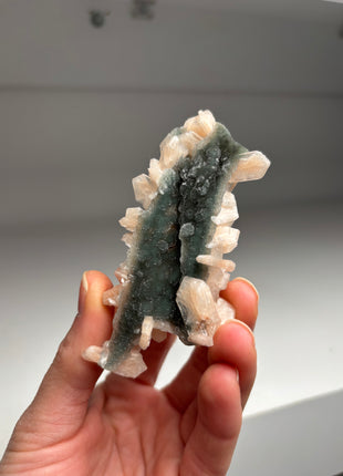 Blue Chalcedony with Pink Stilbite DW048