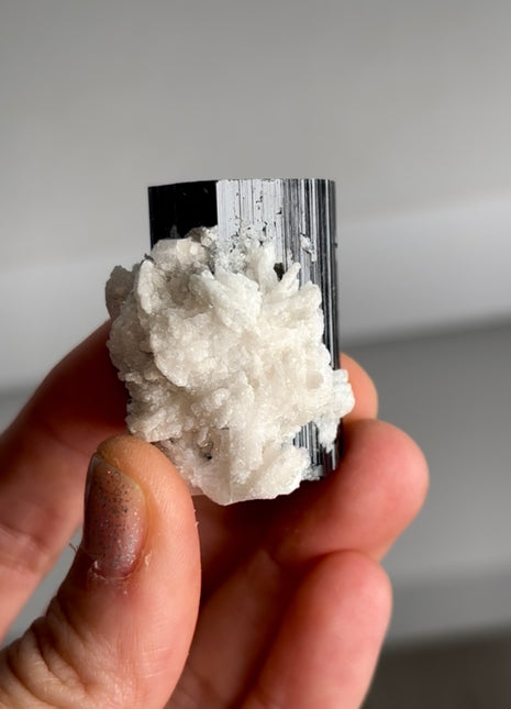 Black Tourmaline with Cleavelandite