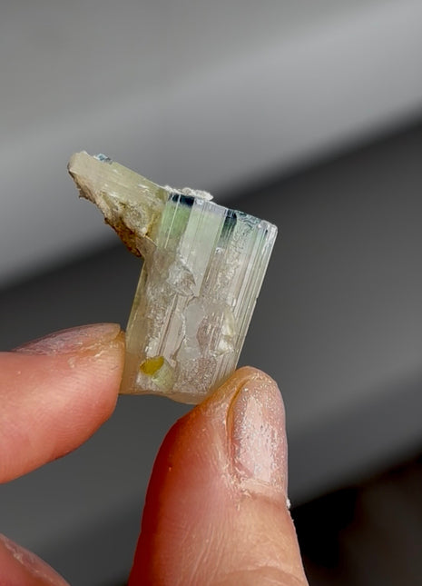 Blue Tip Tourmaline Miniature