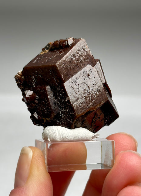 Chocolate Andradite Garnet