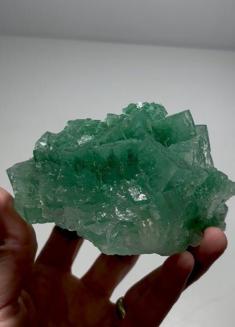 Green Halite Collection # 663