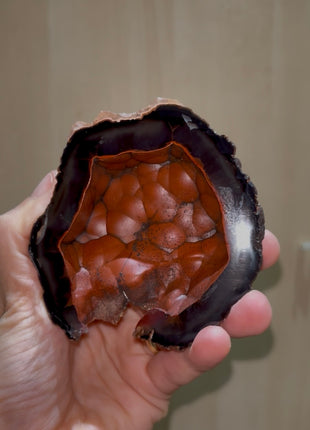 Red Fox Agate Geode from Argentina
