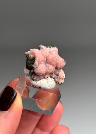 Pink Rhodocrosite - From Potosi mine