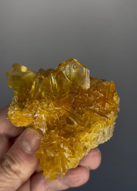 Finest 💎 Golden Selenite from Peru