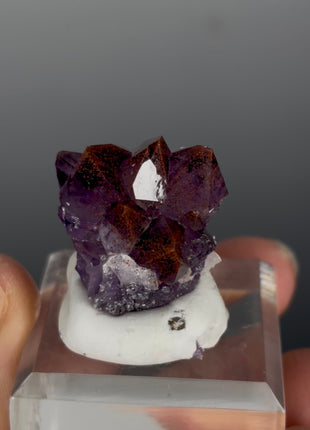 Red Amethyst Flower - From Thunder Bay, Canada