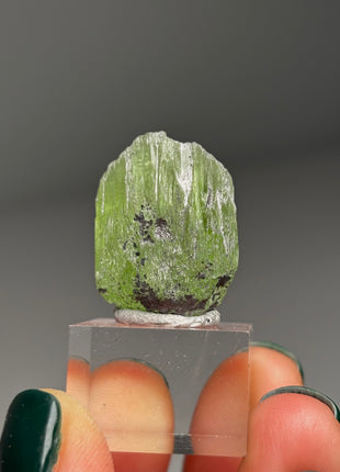 Green Diopside - Merelani Hills, Tanzania