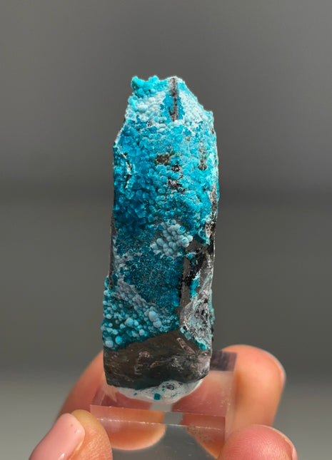 Quartz with Blue Chrysocolla