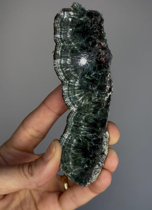High Grade Chatoyant Green Seraphinite